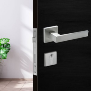 Bloqueo de mortaja de palanca de acero inoxidable F5450, bloqueo de la palanca de entrada con llave